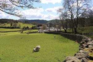 The village of Near Sawrey - many of its scenes can be recognised in The Tale of Ginger and Pickles
