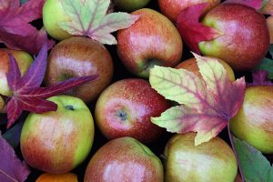 Apple-day-emc-design-creative-services