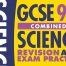 Scholastic GCSE Revision Guides